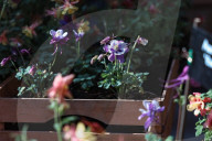 The Fair Spring Market Flora Et Decora Dedicated To Flowers And Decorative Plants In Milan