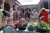The Fair Spring Market Flora Et Decora Dedicated To Flowers And Decorative Plants In Milan