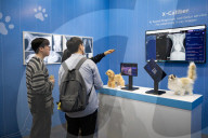 World IT Show 2025 In Seoul