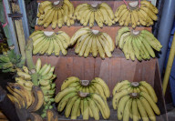 Indonesian Traditional Market 