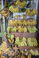 Indonesian Traditional Market 