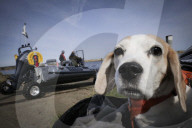 Amphibious Sealegs boat brings Bond-style glamour to RSPB in Northumberland
