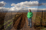 'The grapes won't wait': Lebanese winemakers fight to survive as war rages