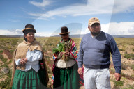 'Canahua chose me': can an ancient relative of quinoa revive rural Bolivia's economy?