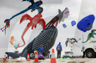 Adelaide International Kite Festival