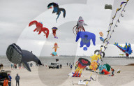 Adelaide International Kite Festival