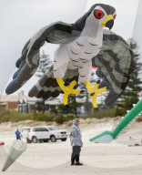 Adelaide International Kite Festival