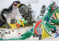Adelaide International Kite Festival
