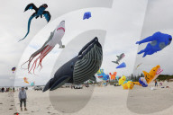 Adelaide International Kite Festival
