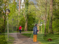 Woman Waits With Waste Bag As Dog Poops In Park