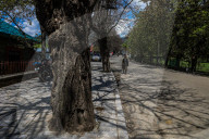 Pahalgam Shuts After Tourist Killings 
