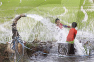 Children Plays With A Groundwater