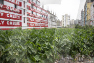 12th-anniversary Commemorations For The Rana Plaza
