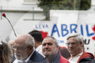 Red Carnation Revolution 2025