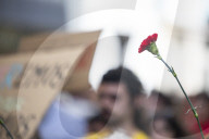 Red Carnation Revolution 2025