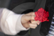 Red Carnation Revolution 2025