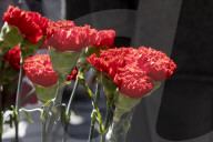 Red Carnation Revolution 2025