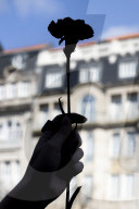 Red Carnation Revolution 2025