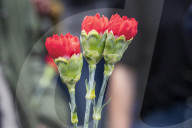 Red Carnation Revolution 2025