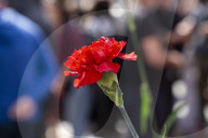 Red Carnation Revolution 2025