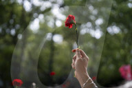 51th Anniversary Of The Carnation Revolution In Portugal