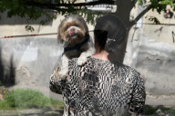 Pavlohrad after large-scale Russian drone attack