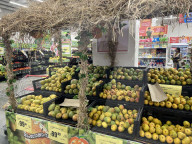 Various Types Of Mangoes In Thiruvananthapuram