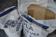Indonesia Imports Soybeans From The United States