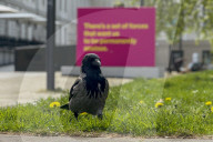 Daily Life In Berlin