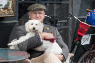 The Tweed Run In London