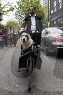 The Tweed Run In London