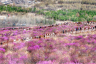 Spring Tour in Hulunbuir