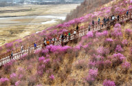Spring Tour in Hulunbuir