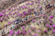 Spring Tour in Hulunbuir