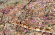 Spring Tour in Hulunbuir