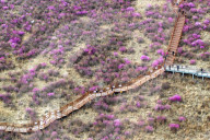 Spring Tour in Hulunbuir