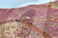 Spring Tour in Hulunbuir