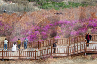 Spring Tour in Hulunbuir