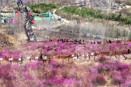 Spring Tour in Hulunbuir