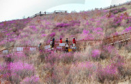 Spring Tour in Hulunbuir