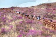Spring Tour in Hulunbuir