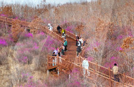 Spring Tour in Hulunbuir