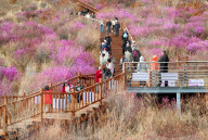 Spring Tour in Hulunbuir