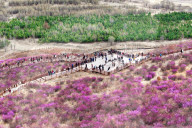 Spring Tour in Hulunbuir
