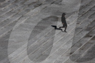 Pope Francis Funeral