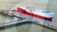 BYD Vehicles Export To Brazil
