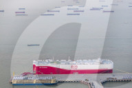 BYD Vehicles Export To Brazil