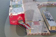 BYD Vehicles Export To Brazil