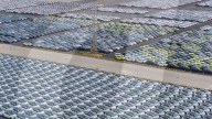 BYD Vehicles Export To Brazil