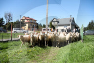 Spring Redyk In Ludzmierz